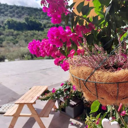 Villa I Sogni Sennori Εξωτερικό φωτογραφία