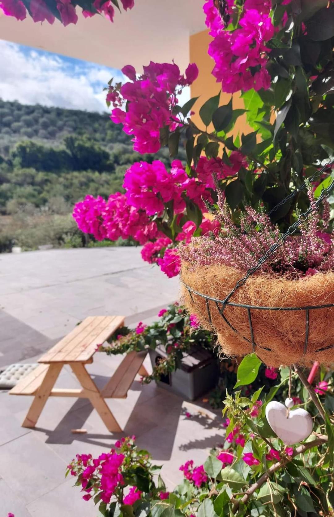 Villa I Sogni Sennori Εξωτερικό φωτογραφία